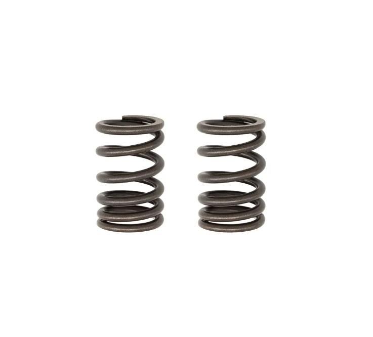 TBparts - Heavy Duty Valve Springs for KLX140