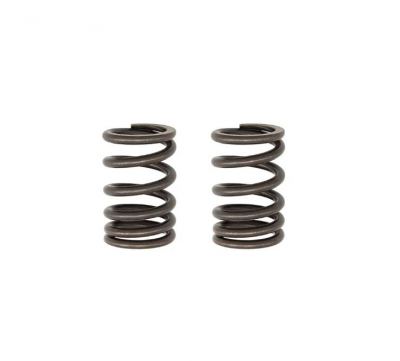 TBparts - Heavy Duty Valve Springs for KLX140