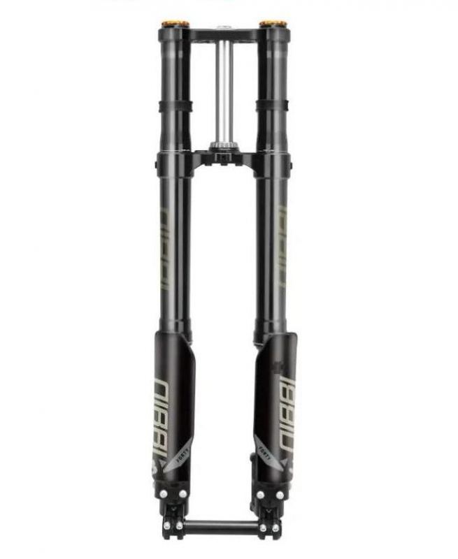 Nibbi Racing 38mm Dual Spring Fork
