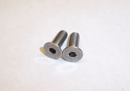 Master Cylinder Bolts 2pc