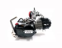 Works - Lifan 141cc Semi-Auto Engine - photo 2