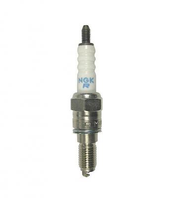 NGK 8mm Spark Plug for 4V Head - Daytona Anima 150/190 ZS190/212