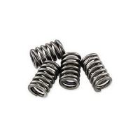 EBC Brand - GPX, YX, ZS Super HD Clutch Springs [CSK4] - photo 1
