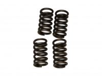 EBC Brand - GPX, YX, ZS Super HD Clutch Springs [CSK4] - photo 2