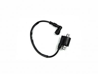 TRC - 2 Bolt Type Ignition Coil