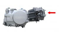 YX140 Head Oil line jumper - photo 2