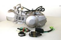 Daytona Anima 190cc FLX Engine - photo 1