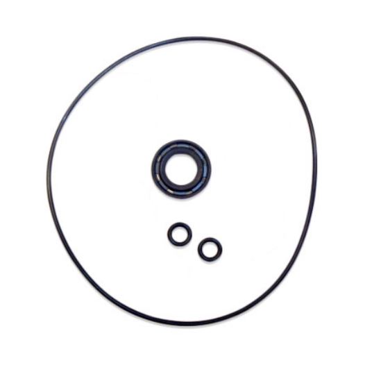 Ignition stator O Ring seal