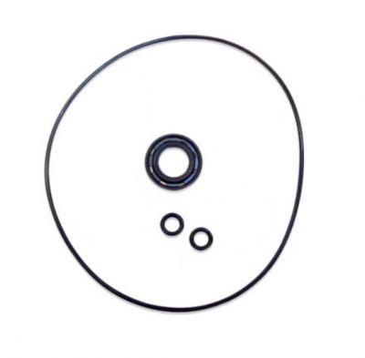 Ignition stator O Ring seal
