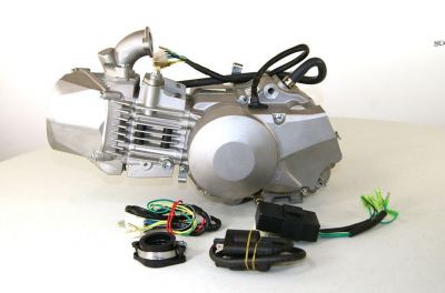 Piranha Daytona -  Anima 190cc FDX Engine