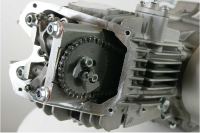 Piranha Daytona -  Anima 190cc FDX Engine - photo 2
