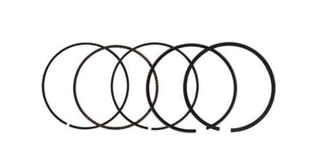 Daytona Anima 150 and 190 4V O.E.M. 62mm Rings #12