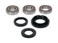 Pivot Works - Wheel Bearing Kit Rear Axle for TRX70 ATC70 - photo 2