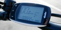 SSR Motorsports SandViper - photo 4