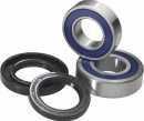 All Balls - Wheel Bearing and Seal Kit - Honda XR100 '81-84 - Rear All Balls - Wheel Bearing and Seal Kit - Honda XR100 '81-84 - Rear1
