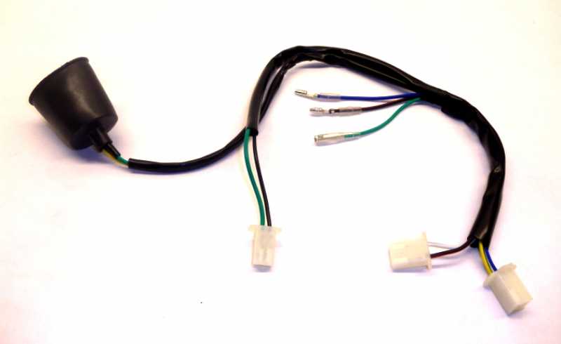 China 12v Wiring Harness SSR Type - TRC-4920 - Electrical - Pit Bike