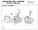 Daytona Anima 150 and 190 4V O.E.M. Cylinder Head #161