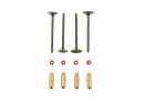 TBParts - Stainless Steel Valve Kit with Valve guides for Daytona Anima 190 TBParts - Stainless Steel Valve Kit with Valve guides for Daytona Anima 1901