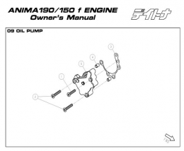 Daytona Anima 150 and 190 4V O.E.M. Oil Pump  #5