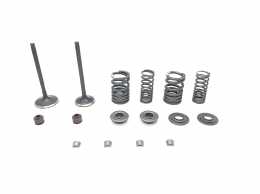 ZS 190 and 212 Valve Kit1