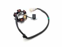 Ignition Stator for ZS 190 and 2121