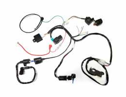 Electric Start Wiring <br>Kit and Harness 12 VAC1